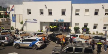 Large amount of marijuana intercepted at the harbor