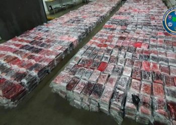 Costa Rica’s biggest-ever cocaine bust was headed to Netherlands