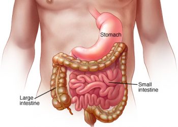 Ministry of Public Health reminds the community about the importance of handwashing to prevent gastroenteritis