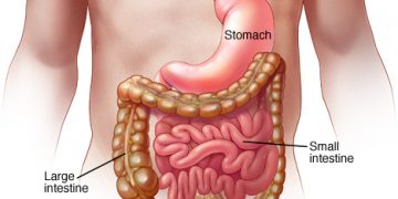 Ministry of Public Health reminds the community about the importance of handwashing to prevent gastroenteritis
