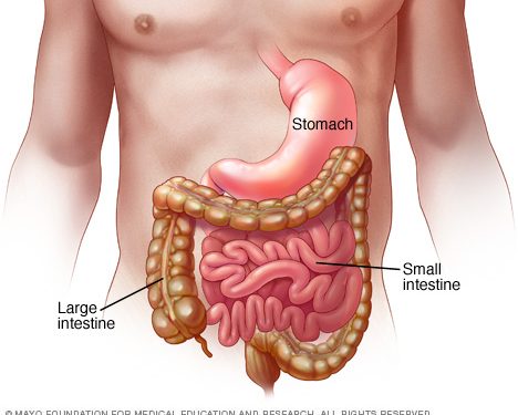 Ministry of Public Health reminds the community about the importance of handwashing to prevent gastroenteritis
