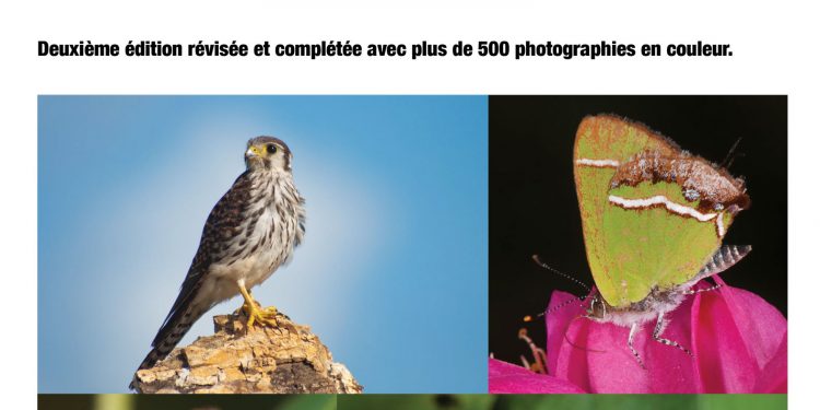 St. Martin Nature Books Available at Amuseum Naturalis