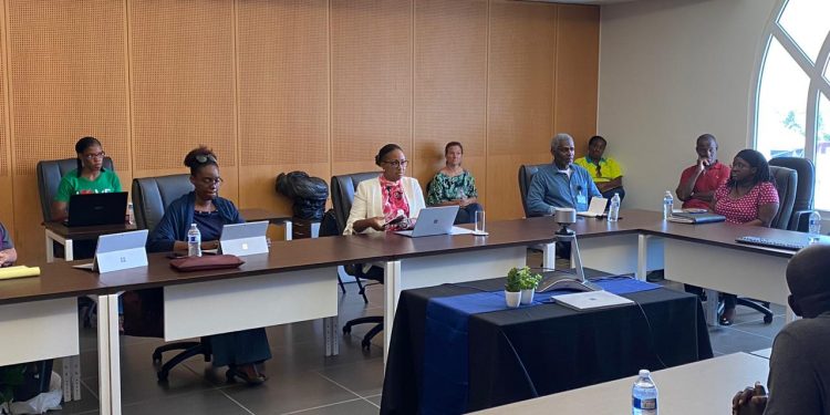 Prime Minister & Chair of the EOC Silveria Jacobs updates on COVID-19 Developments MARCH 28, 2020