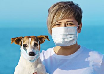 Coronavirus myths and facts you need to pay attention to right now