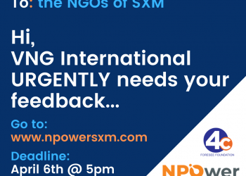 Project: Strengthening non-governmental organizations (NGOs)