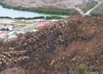 Nature Foundation St. Maarten Evaluates the Environmental Impact of Middle Region’s Bushfire
