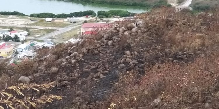 Nature Foundation St. Maarten Evaluates the Environmental Impact of Middle Region’s Bushfire