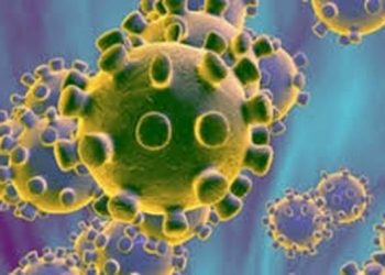 Dominican Republic coronavirus: 434 deaths, 12,723 cases