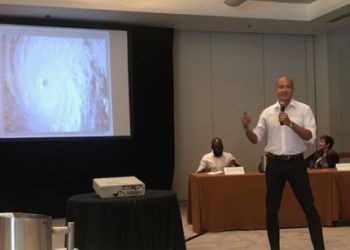 Regarding the Development at Beacon Hill; Another Dolphinarium?