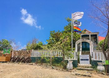 Amuseum Naturalis Announces July 7th Reopening