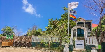 Amuseum Naturalis Announces July 7th Reopening