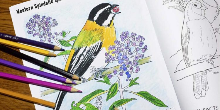 New Colouring Book Features Birds Found Only in the Caribbean