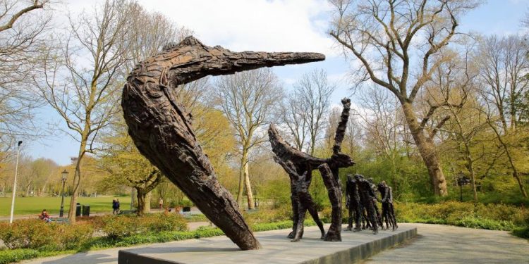 Dutch need more education on impact of colonialism & slavery, says UN rapporteur