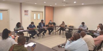 Panneflek: Dominican Republic repatriation flight, 21 persons retested.