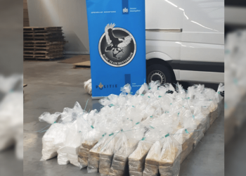 Another 600 kilos cocaine intercepted at Rotterdam port