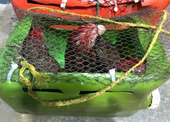 Coast Guard intercepts vessel with 14 people