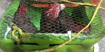 Coast Guard intercepts vessel with 14 people