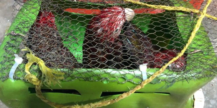 Coast Guard intercepts vessel with 14 people