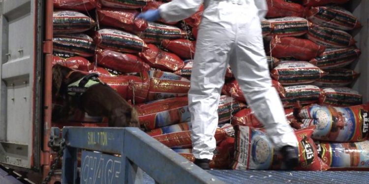 UK’s second largest heroin bust leads to three Dutch arrests