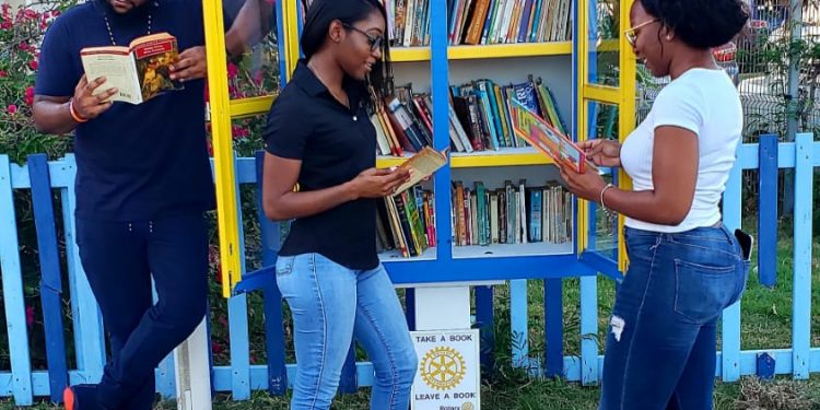 Rotary Sunset Launches Little Free Library at Allen C. Halley Community Center