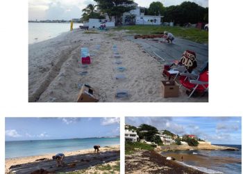 Sargassum Research Team from the Climate Cleanup Foundation Conducted Pilot Study on Sint Maarten in Collaboration with the Nature Foundation St. Maarten.