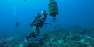 Using Sound to Track Marine Mammals in Saba Bank