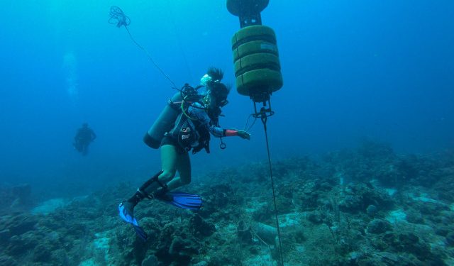 Using Sound to Track Marine Mammals in Saba Bank