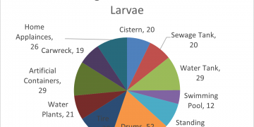 Inspections reveal drums and car tires top source for mosquito breeding sites. One in four households have mosquito larvae
