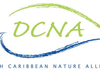DCNA’s Achievements September 2019-2020