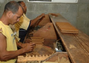 Dominican Republic tobacco exports grew US $20 million last month