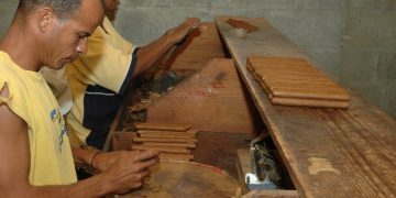 Dominican Republic tobacco exports grew US $20 million last month