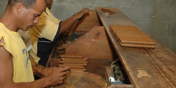 Dominican Republic tobacco exports grew US $20 million last month