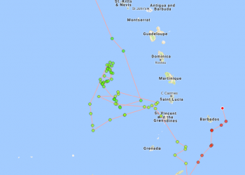 The Nature Foundation St. Maarten Reminds the Public that Sharks are Protected on Sint Maarten.