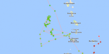 The Nature Foundation St. Maarten Reminds the Public that Sharks are Protected on Sint Maarten.