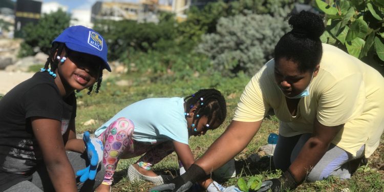 Re-greening SXM Project to Launch their Final Tree Planting Event