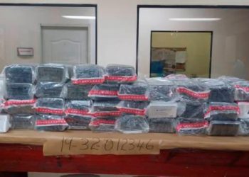 Drug-laden plane crashes in Dominican southwest; one dead