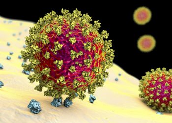 Outbreak of South African Covid strain; 18 infections in Gorinchem