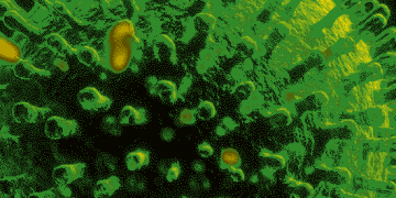 This Caribbean Country Has Surpassed 20,000 COVID-19 Cases