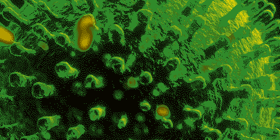 This Caribbean Country Has Surpassed 20,000 COVID-19 Cases