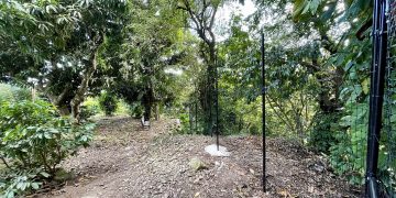 Works start on Saba Botanical Garden