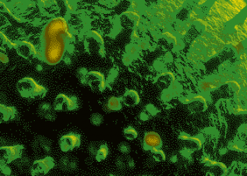 This Caribbean Country Reports Nearly 450 New COVID-19 Cases In 24 Hours