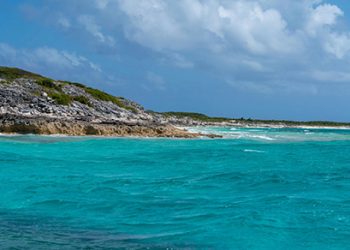 Two Caribbean Islands On The Auction Block