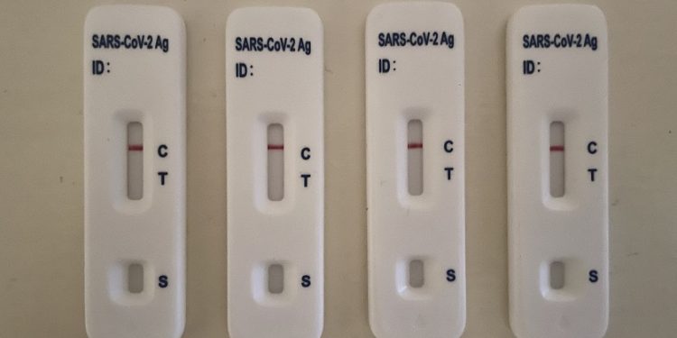 Daily coronavirus infections up slightly, but seven-day average falls for 15th day
