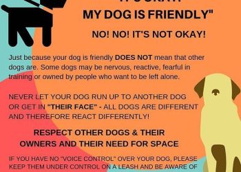 Dog owners urged to control dogs while in public