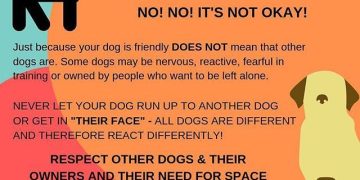 Dog owners urged to control dogs while in public