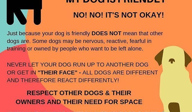 Dog owners urged to control dogs while in public