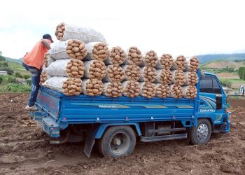 Gov. earmarks US$27M for fertilizers