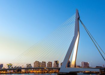 Rotterdam apologizes for slavery past