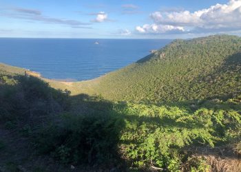 Órdenes judiciales paralizan la emisión o arrendamiento a largo plazo en Over the Bank