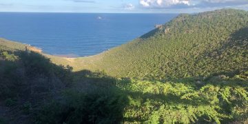 Órdenes judiciales paralizan la emisión o arrendamiento a largo plazo en Over the Bank